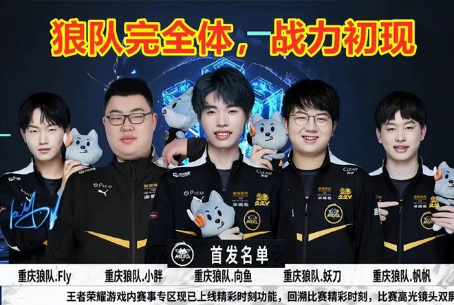 金选择升级